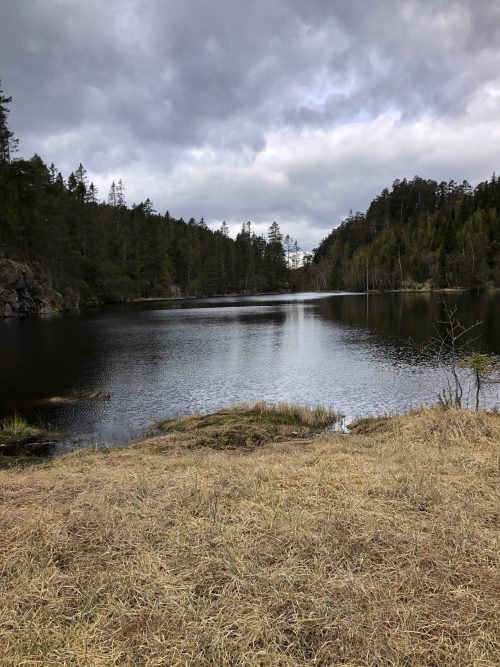 Rolighetstjern fra Valeseter